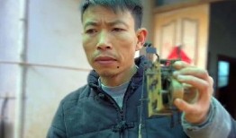 鸟哥视频,揭秘鸟类世界的奥秘与魅力